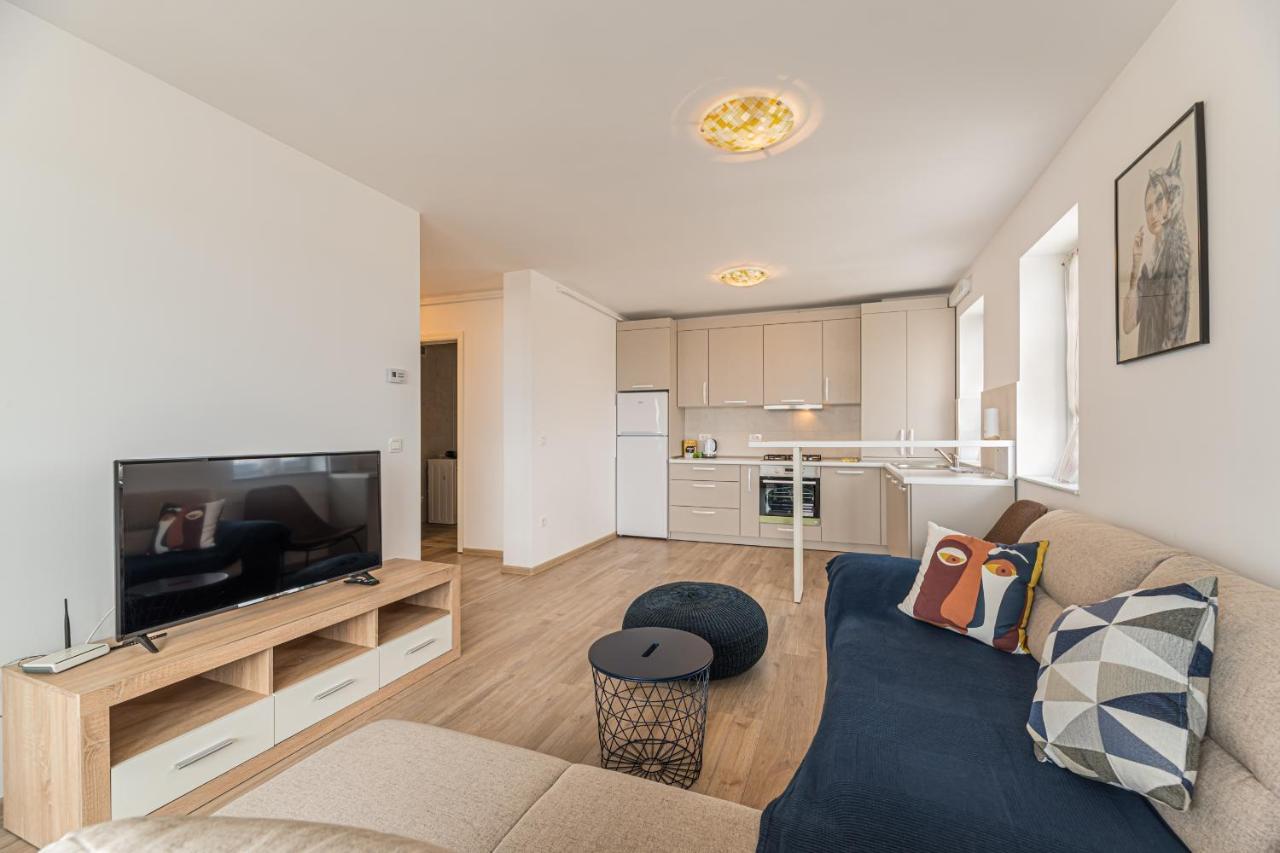 Coresi Modern Apartment Брашов Екстериор снимка